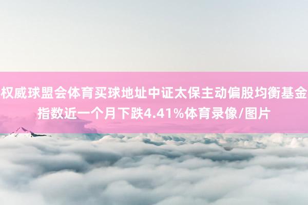 权威球盟会体育买球地址中证太保主动偏股均衡基金指数近一个月下跌4.41%体育录像/图片